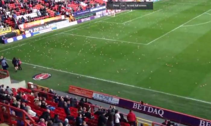 手表：Charlton和Coventry粉丝通过将成千上万的玩具猪投入球场而停止匹配