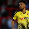 Watford FC新闻：前利物浦Starlet Jerome Sinclair设置为首次开始对阵曼彻斯特市